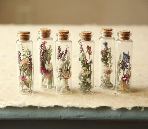 Gifts With Dried Flowers, Mini Glass Bottle Crafts, Wildflower Wedding Party, Flower In Jar, Dried Flowers Art, Specimen Jars, Dried Wildflowers, Tiny Glass Jars, Flower Jar