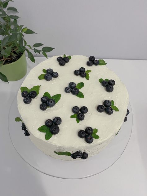 Blueberry Cake Aesthetic Korean, Blueberry Cake Aesthetic, Tort Aesthetic, Blueberry Cake Decoration, Cute Blue Cake, Korean Cake Aesthetic, Red Velvet Cream Cheese Frosting, Korean Style Cake, Fruit Birthday Cake