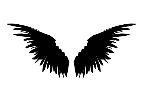 Crow Wings Drawing, Raven Wings Drawing, Black Wings Drawing, Raven Wing Tattoo, Raven Wings Tattoo, Raven Vector, Wings Black And White, Crow Wings, Wings Illustration