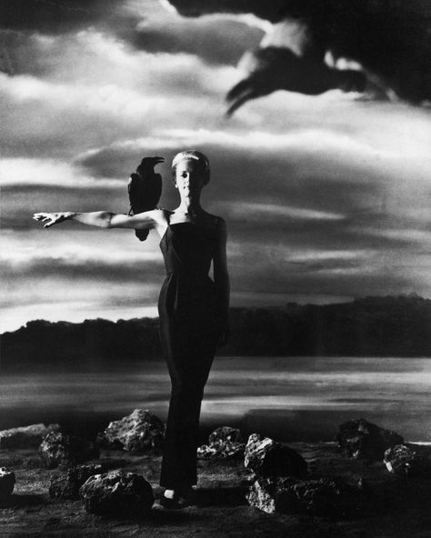 The Birds Hitchcock, The Birds Movie, 1960s Movies, Philippe Halsman, Movies Photography, Fandom Star Trek, Tippi Hedren, Hitchcock Film, Night Owls