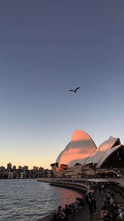 autumn sunset desde la opera house Sydney Opera House Tattoo, Sydney Opera House Drawing, Sydney Opera House Sketch, Sydney Opera House Painting, Sydney Opera House Photography, Australia Travel, Opera House, Sydney Opera House, Opera