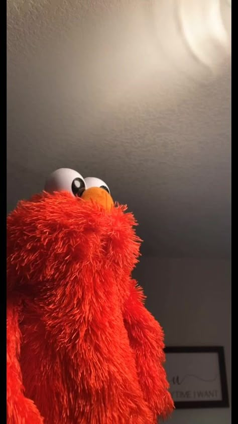 Elmo Iphone Wallpaper, Iphone Wallpaper Elmo, Wallpaper Elmo, Funny Elmo, Elmo Memes, Cookie Monster Wallpaper, Elmo Wallpaper, Elmo And Friends, Elmo World