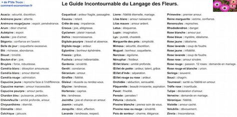 Saviez-vous que les roses jaunes font référence à l'infidélité ? Oups... Et qu'offrir 12 roses rouges est une demande en mariage ? Alors pourquoi ne pas composer votre bouquet de fleurs en fonction de ce que vous voulez dire, comme si vous écriviez une lettre ?  Découvrez l'astuce ici : http://www.comment-economiser.fr/guide-langage-fleurs-avec-signification-symbolique.html?utm_content=bufferaf8d8&utm_medium=social&utm_source=pinterest.com&utm_campaign=buffer 12 Roses, Skin Drawing, Comme Si, Animal Crossing Qr, Minimalist Tattoo, Inspirational Tattoos, Future Tattoos, Flower Tattoos, I Tattoo