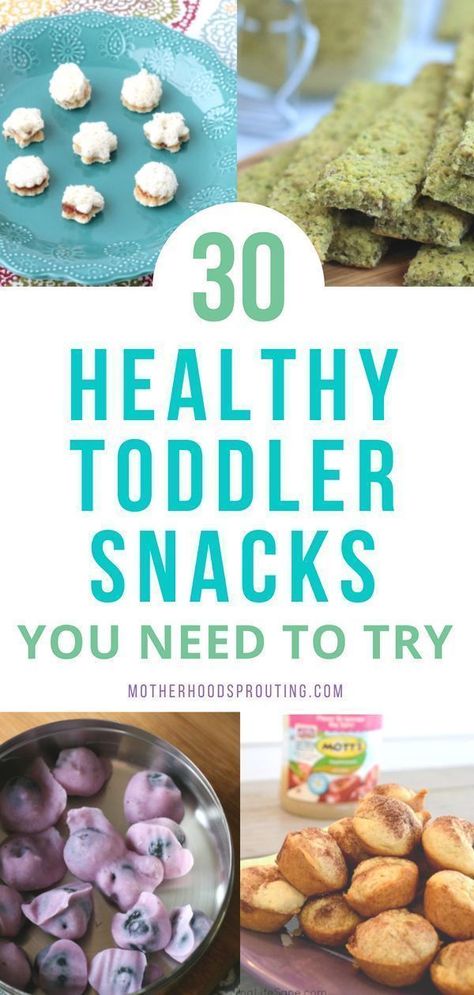 Learn the 30 healthy toddler snacks you need to try! These toddler snacks can be combined to make healthy toddler meals as well! All these easy toddler recipes are so yummy your toddler will love them! #toddler #healthyrecipes Easy Toddler Recipes, Easy Toddler Meals, Healthy Toddler Snacks, Toddler Recipes, Toddler Lunches, Healthy Toddler Meals, Baby Snacks, Easy Toddler, Toddler Snacks