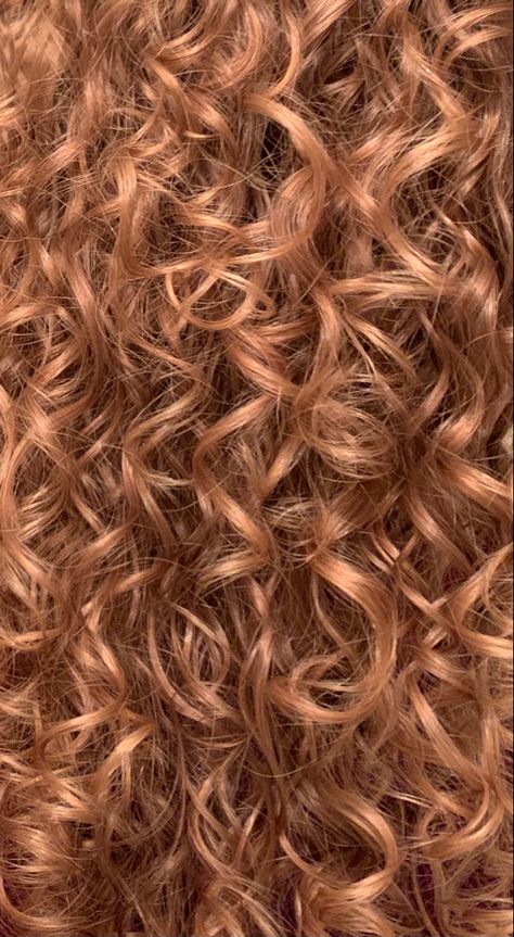 Blonde Red Curly Hair, Strawberry Blonde On Curly Hair, Naturally Curly Strawberry Blonde Hair, Natural Red Highlights In Brown Hair Curly, Copper Strawberry Blonde Curly Hair, Honey Colored Curly Hair, Brown Copper Hair Color Curly, Curly Hair Strawberry Blonde Highlights, Honey Copper Hair Curly