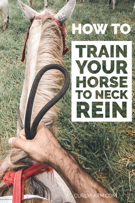 How To Teach A Horse To Neck Rein, Training A Horse, How To Train A Horse, Horse Paddock Ideas, Horse Training Ground Work, Horse Training Exercises, Horse Farm Ideas, Diy Horse Barn, Training Horses