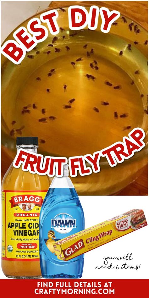 Diy Fly Traps Indoor, Diy Get Rid Of Fruit Flies, Bug Traps Homemade, How To Catch And Kill Nats, Fly Catcher Diy Outdoor, Remove Fruit Flies, Fly Trap Homemade Outdoor, How To Make A Fly Trap Diy, Catching Flies In House