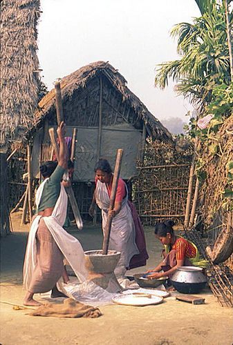 Tharu women griding rice Village Life Drawing, Village Life Photography, Village Life In India, Pakistan Village Life, Pakistan Village, Village Scene Drawing, Rural Photography, Green Village, Memory Drawing