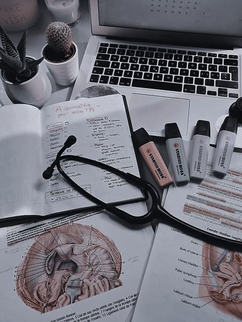 Surgeon Aesthetic, Exam Pictures, Medicine Pictures, Nursing Aesthetic, Medical School Quotes, Aesthetic Doctor, Medical School Life, Nursing School Motivation, Vet Medicine