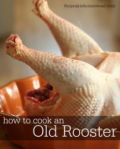 how to cook a tough old rooster or laying hen and turn it into flavorful soups and stock! Homestead Hacks, The Prairie Homestead, Homestead Cooking, Prairie Homestead, Laying Hens, Cooked Chicken, Chicken House, Chicken Soup Recipes, Self Reliance