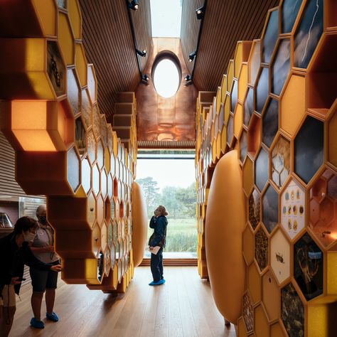 invisible studio's beezantium is a new home for bees in somerset Honeycomb Art, Clad Home, Oak Interior, Shaped Windows, Bee Hotel, Oval Window, Studio Build, Bee House, Picture Window