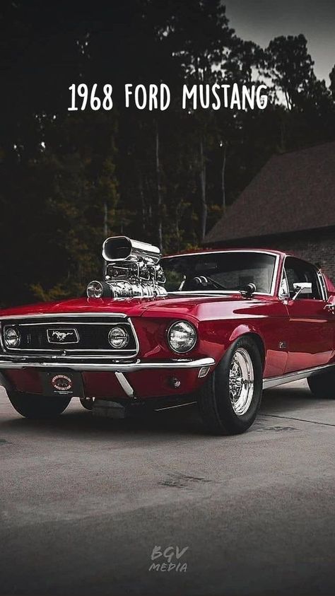 1968 Ford Mustang | Old school muscle cars, Classic cars, Muscle cars Vintage Muscle Car, Old School Muscle Cars, Ford Mustang Classic, Muscle Cars Mustang, 70s Muscle Cars, Classic Muscle Cars, Old Muscle Cars, Old Vintage Cars, Vintage Muscle Cars