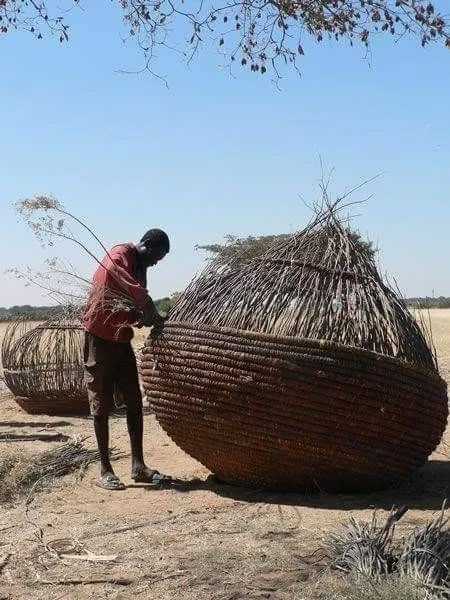 Treasures: Weaving the World Together – Wyld Basket Weaver, Willow Weaving, Afrique Art, Vernacular Architecture, Cultural Architecture, African Baskets, Weaving Art, Weaving Patterns, Land Art