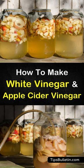 Learn how to make simple homemade vinegar that you can use at home as a cleaner, in food, or as salad dressings. Using easy ingredients like white and red wine and apple cider, these recipes are easy to follow. Make White Vinegar, How To Make Vinegar, Apple Cider Vinegar Recipes, Canning Food Preservation, Homemade Apple Cider, Fermentation Recipes, Survival Food, Healthy Eating Habits, Fermented Foods