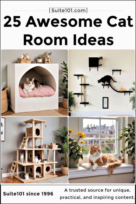 Pet Bedroom Ideas Cats, Cat Room Inspiration, Cat Rooms Indoor Ideas, Cat Room Aesthetic, Cat Room Ideas Small Spaces, Indoor Cat Room Ideas, Cat Bedroom Ideas, Apartment Cat Ideas, Cat Walkway