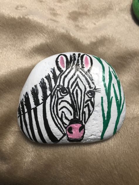 Cheetah Rock Painting, Rock Painting Snake Head, Zebra Painted Rocks, Giraffe Painted Rocks Ideas, Zoo Animal Painted Rocks, Realistic Animal Painted Rocks, Zebra Painting, Zebra Cake, Baby Zebra