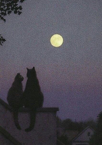 Photo | Détournements Mineurs - Tap the link now to see all … | Flickr The Moon Aesthetic Drawing, Moon Illustration Aesthetic, Full Moon Illustration, Full Moon Aesthetic, Quint Buchholz, 9 Lives, Istoria Artei, Kuching, Two Cats