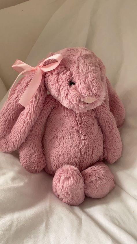 Jelly Cat Stuffed Animals Bunny, Pink Jelly Cat Bunny, Pink Bunny Jellycat, Coquette Jellycat, Jelly Cats Aesthetic, Pink Jelly Cat, Jellycat Cat, Jelly Cat Stuffed Animals, Pink Jellycat