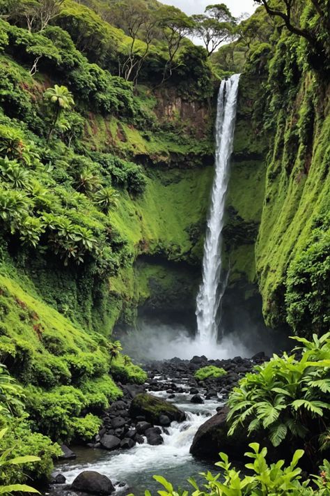 🌺 Maui Waterfall Wonders: Your Ultimate Hiking Guide 🌿 Hawaiian Waterfalls, Maui Waterfalls, Maui Hikes, Hikes In Hawaii, Hiking Hawaii, Hikes In Maui, Antipolo City, Hawaii Nature, Road To Hana Maui