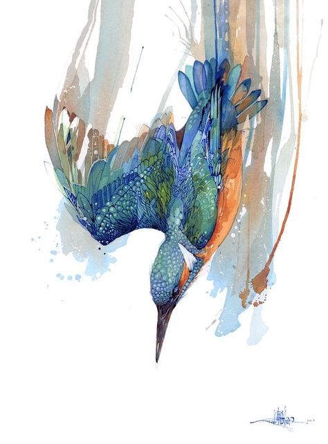 Rachel Walker, Kingfisher Art, Nz Art, Ink Artwork, Bird Artwork, Bird Drawings, Bird Illustration, Watercolor Bird, Malbec