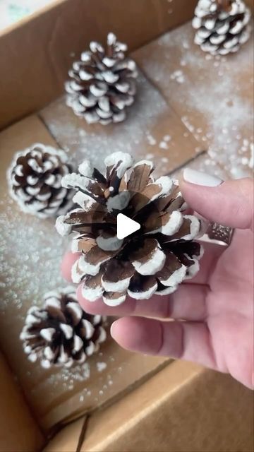 gina luker | arts + crafts on Instagram: "❄️ Easy faux snow pine cones for the holidays We don’t really get snow in the south… so faux snow for the win! This is a great craft gif kids because the bags keep it relatively neat 🙌🏼 DIY DETAILS ✨ use cheap acrylic paint - not the fancy stuff ✨ do small batches of pine cones (3-4 at a time for small - 1 or 2 for bigger) ✨ sprinkle glitter immediately… start with chunky stuff then the fine glitter for best results ✨ Let dry overnight or at least a few hours before dumping out excess glitter Do you get snow where you live?" Pine Cone Painting Ideas, Pine Cone Christmas Tree Diy, How To Paint Pine Cones, Decorating Pine Cones, Christmas Cones Decorations, How To Paint Pinecones, What To Do With Pine Cones, Pine Cones Christmas Decorations, Christmas Pinecones Decorations