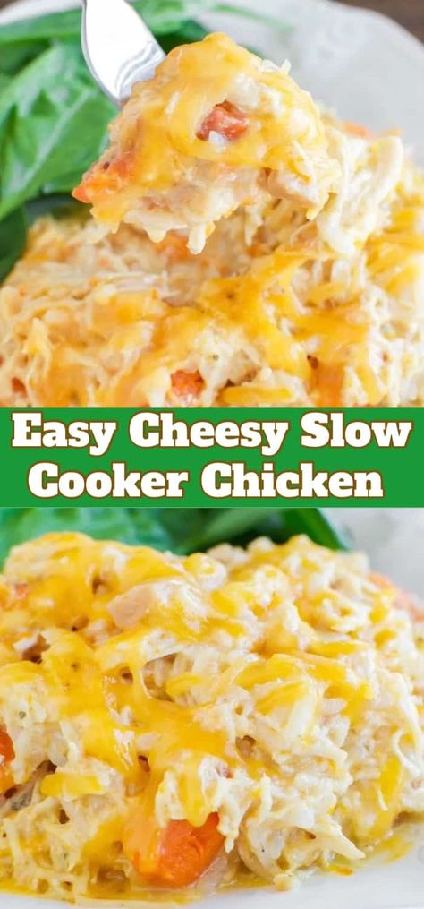 Easy Cheesy Crockpot Chicken is a no fuss dinner that everyone loves! Hearty, creamy, and cheesy- even picky eaters like it! Great meal for busy weeknights! Cheesy Crockpot Chicken, Chicken Spaghetti Recipe Crockpot, Crockpot Chicken Casserole, Chicken Slowcooker, Crowd Breakfast, Cheesey Chicken, Chicken And Rice Crockpot, Slow Cooker Chicken Recipe, Cheesy Chicken Recipes