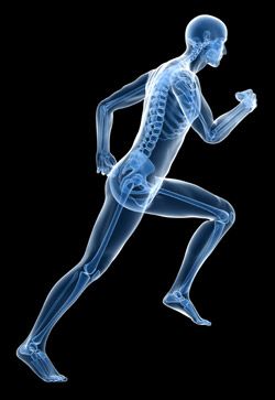 What Is Fascia, Kale Benefits Health, Physio Clinic, Studio Pilates, Muscle And Fitness, Fitness Physique, Running Injuries, Bone Strength, Fitness Pilates