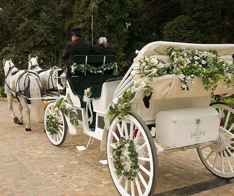 This horse and carriage with the greenery and ivory flowers is beautiful and goes with my colors. Carriage Decorations, Horse And Carriage Wedding, Carriage Wedding, Driving Horses, Dove Release, Colin Cowie Wedding, Horse Drawn Carriage, Wedding Carriage, Horse Wedding