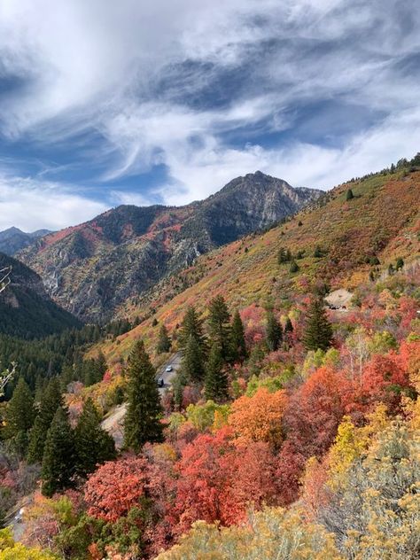 Montana Fall Aesthetic, Alpine Loop Utah, Colorful Autumn Aesthetic, Fall In Mountains, Mountains In Autumn, Utah Fall Aesthetic, Autumn In The Mountains, Colorful Fall Aesthetic, Season Of The Sticks Aesthetic