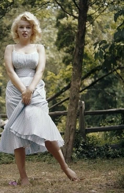 Marilyn Monroe Outfits, Marilyn Monroe Photography, Stars D'hollywood, Kibbe Romantic, Diana Dors, Marilyn Monroe Fashion, Marilyn Monroe Art, Alison Brie, Barbara Stanwyck