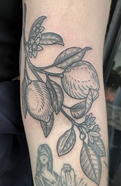 Traditional Botanical Tattoo Sleeve, Colored Outline Tattoo, American Trad Patchwork Sleeve, Mango Tattoo Black And White, Berry Plant Tattoo, Orange Plant Tattoo, Plant Hip Tattoo, Botanical Tattoo Arm, Mango Tree Tattoo