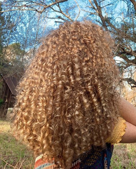 Almost Natural Hair Color, Curly Hair Dye Ideas Honey Blonde, Light Curly Brown Hair, Honey Blonde Hair Mixed Girl, Honey Brown Short Curly Hair, Honey Colored Curly Hair, Long Blonde Curls Natural, Light Golden Brown Curly Hair, Caramel Blonde Hair Curly