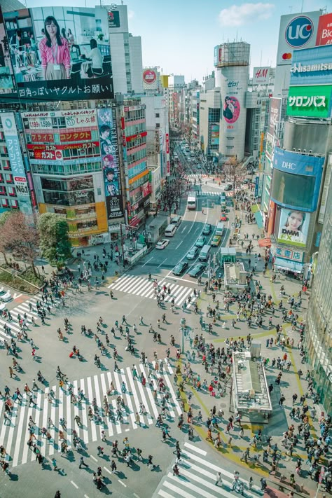 Best Places In Japan To Visit Shibuya Crossing Tokyo Shibuya Japan, Country To Visit, Things To Do In Tokyo, Yoyogi Park, Tokyo Shibuya, Places In Japan, Shibuya Crossing, Visit Tokyo, Tokyo Skytree