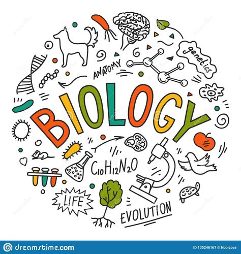 Science Vector, General Biology, Science Doodles, Project Cover Page, School Book Covers, Front Page Design, Biology Art, Education Science, Doodle Lettering