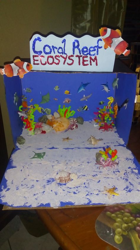 Coral Reef Ecosystem Project, Coral Reef Diorama, Ecosystems Diorama, Coral Reef Project, Ecosystem Project, Coral Reef Craft, Habitat Diorama, School Projects Ideas, Ocean Diorama