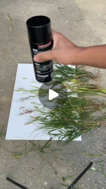 Brushless Studio on Instagram: "The magic of spray 😱🖼  #painting #reels #reelsinstagram #reelsviral #reelkarofeelkaro #reelsindia #reelsvideo #spraypaint" Painting Reels, Painting Branches, Spray Paint Art Ideas, Spray Paint Artwork, Paint Splatter Art, Dry Brush Painting, Wabi Sabi Painting, Diy Canvas Art Easy, Brush Strokes Painting