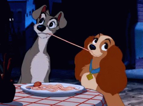 Amor GIF - Love Dog Spaghetti - Discover & Share GIFs Disney Kiss, Disney Amor, Disney Gifs, Animation Disney, Images Disney, Disney Gif, Film Disney, Art Disney, Disney Couples