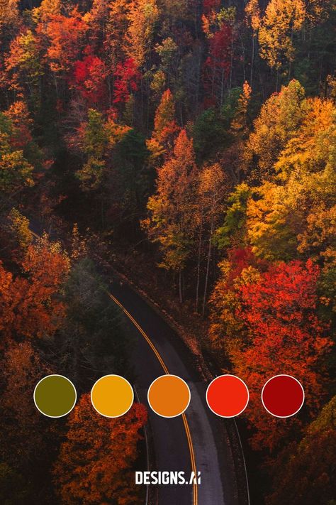 October Palette Color, Foliage Color Palette, November Colour Palette, October Palette, Halloween Colour Palette, October Color Palette, November Color Palette, Thanksgiving Color Palette, Fall Color Combos