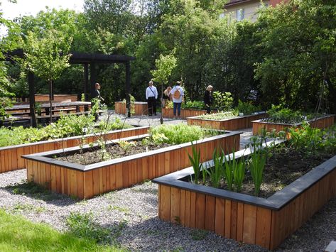 Krakow Community Gardens - The Innovation in Politics Institute Community Gardens, Natural Fence, Allotment Gardening, Urban Agriculture, Landscape Model, Community Garden, Community Park, School Garden, Better Homes And Garden