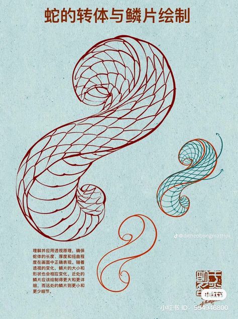 Snake Tattoo Reference, How To Draw Chinese Dragon, How To Draw Snakes, How To Draw Snake, Chinese Dragon Sketch, Snake Tattoo Sketch, Japanese Snake Drawing, Snake Draw, Japanese Snake Art