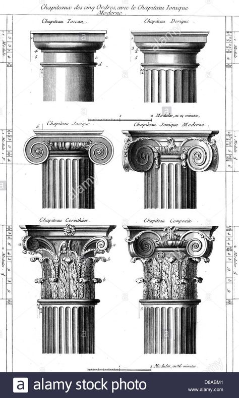 Ancient Greek Columns, History Sketches, Corinthian Order, Corinthian Columns, Greek Columns, Architecture Drawing Plan, Corinthian Column, Copper Engraving, Architecture Sketchbook