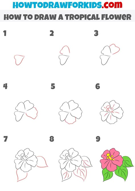 how to draw a tropical flower step by stepp Tropical Flower Doodle, How To Draw Bougainvillea Step By Step, Simple Tropical Drawings, Hawaii Flower Painting Easy, How To Draw A Surfboard Step By Step, Hibiscus Flower Drawing Tutorials, How To Draw Hawaiian Flowers Easy, Hibiscus Drawing Tutorial, Island Flowers Drawing