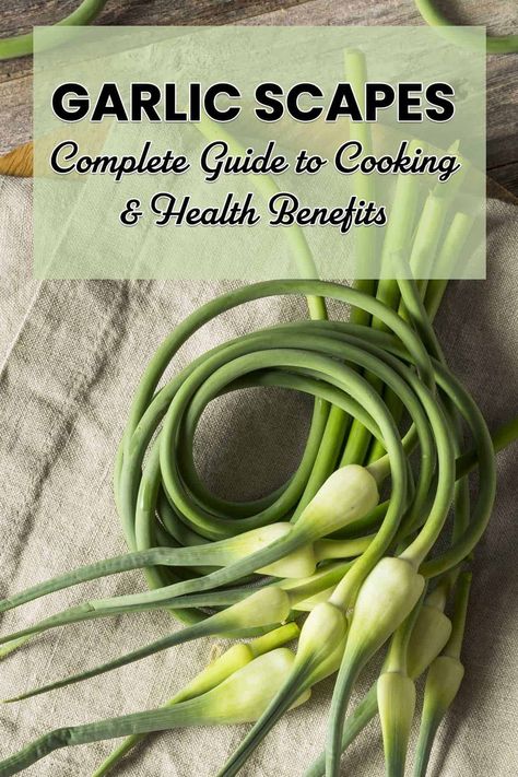 Garlic scapes are delicious and have multiple uses. Garlic scapes also have lots of health benefits, similar to regular garlic. Learn everything you need to know about garic scapes, including the health benefits and ways to preserve and prepare them. Garlic Scapes, Growing Garlic, Urban Farmer, Types Of Vegetables, Jams & Jellies, Health Remedies, Have You Ever, Health Benefits, Farmer