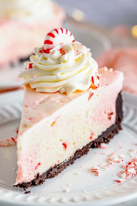 No Bake Peppermint Cheesecake Recipe No Bake Peppermint Cheesecake, Peppermint Pie Recipe, Peppermint Pie, Candy Cane Pie, Peppermint Dessert, Pumpkin Cream Cheese Pie, Cheese Pudding, Vanilla Bean Cheesecake, Christmas Cheesecake