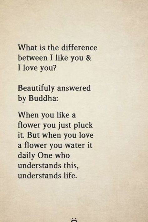 What is the difference between I like you & I love you?  Beautifully answered by Buddha: When you like a flower you just pluck it. But when you love a flower you water it daily One who understands this, understands life. Bronte Quotes, Emily Bronte Quotes, I Think I Love Him, I Like You Quotes, Team Building Quotes, I Like U, Cover Quotes, Road Work, Elegant Birthday Cakes