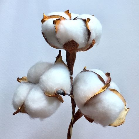 Diy Natal, Cotton Decor, Cotton Stems, Cotton Plant, Cotton Flower, Cotton Balls, Paper Heart, Watercolour Paper, Cotton Ball