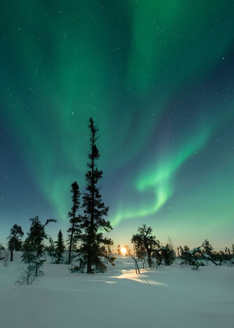 Where can you see the Northern Lights in Finland? Northern Lights Photography, Lights Photography, Finland Travel, Lapland Finland, Vision Board Pictures, See The Northern Lights, Dream Travel Destinations, Dream Holiday, The Aurora