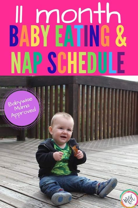 Feeding and sleeping schedule for an 11 month old baby. You will also find milestones, information on bottles and solid food, naps and nighttime sleep. William is climbing stairs now and crawling everywhere. He's on 2 naps and 2 bottles! He'll soon transition to one bottle.   #babysleep #babysleeptips #babywise #babyschedule #parenting101 #parentingtipsandtricks #11monthsold #parentinghacks 11 Month Old Schedule, 10 Month Old Schedule, Ideal Schedule, Newborn Baby Hacks, Sleeping Schedule, 11 Month Old Baby, Baby Wise, Baby Feeding Schedule, Older Sibling