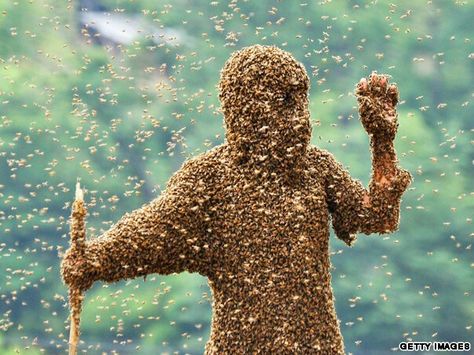 Eintykára- Paraguayan myth: stingless bees whose honey induce mild hallucinogenic effects, and who naturally create phallic hives. Once there was a woman who always admired the hive, and wanted to be it's wife. The bees then created a man-shaped hive with wax skin, and golden honey hair. He was unnaturally intelligent and also a diligent worker. He didn't eat human food, but would disperse as the bees to collect nectar and then reintegrate as a man. His "waste" was honey and wax, which he di... All About Bees, Bee Swarm, Bees And Honey, Bee Photo, Bee Sting, National Geographic Magazine, The Hive, Honey Bees, Save The Bees