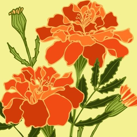 HOLLY HELGESON on Instagram: “Merry Marigolds! Love their vibrant colors! #dailysketch #sketch #sketchbook #illustration #botanical #flowers #marigolds #floral…” Sketch Book, Vibrant Colors, Floral, Flowers, Instagram, Color